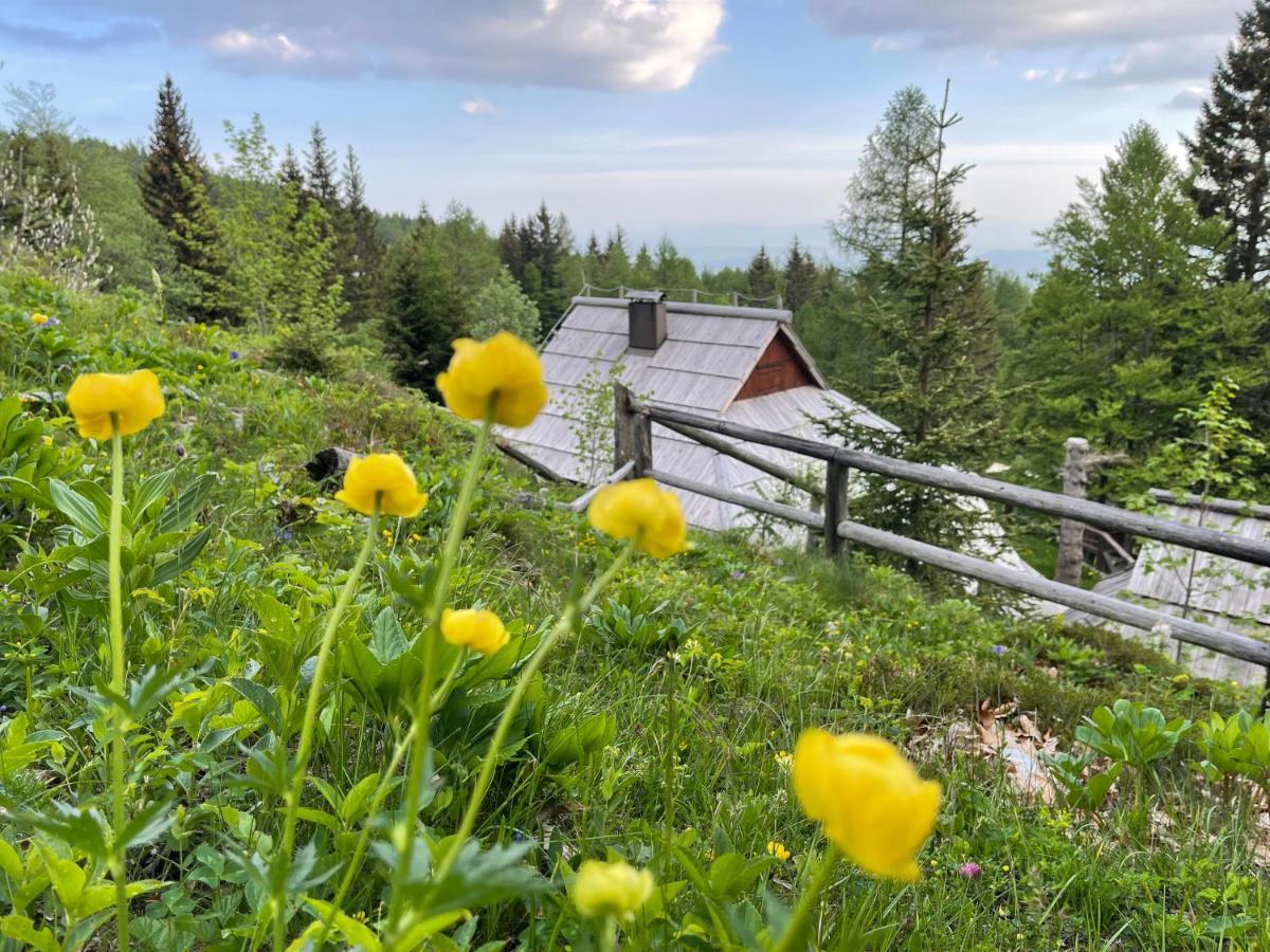 Velika Planina Chalet Slovenka Stahovica Exterior photo